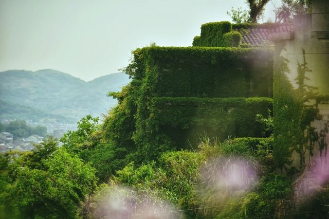 浙江的第二大海島—衢山島，隱藏著綠野仙蹤的秘境