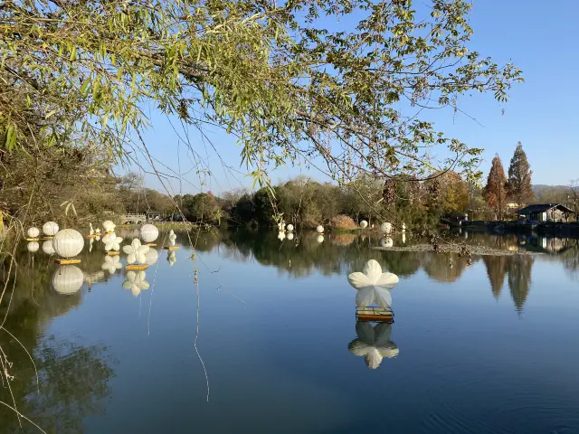 西溪湿地、どうやって遊ぶ？