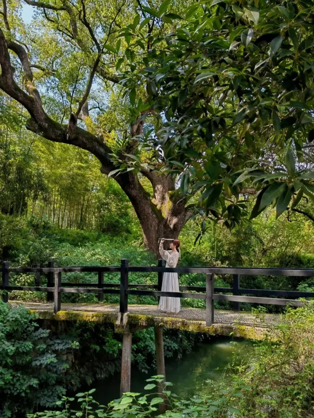 温州周辺の一日旅行