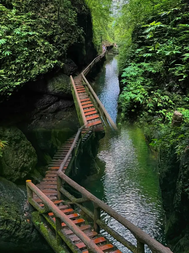 สถานที่พักผ่อนในช่วงฤดูร้อนที่เป็นจริงของ Twilight Forest นี่มันเจ๋งจริงๆ