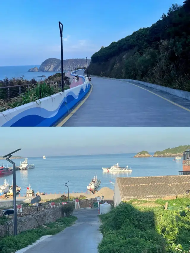 浙江は東極島だけではありません！花でいっぱいの大陳島もあります〜本当に美しいです