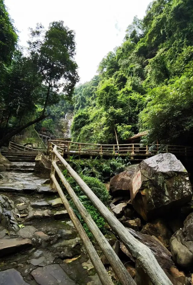 Dinghushan, the leader of the four famous mountains in Lingnan