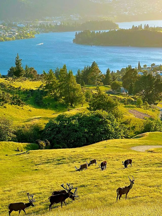 新西蘭 | 瓦納卡太美了！