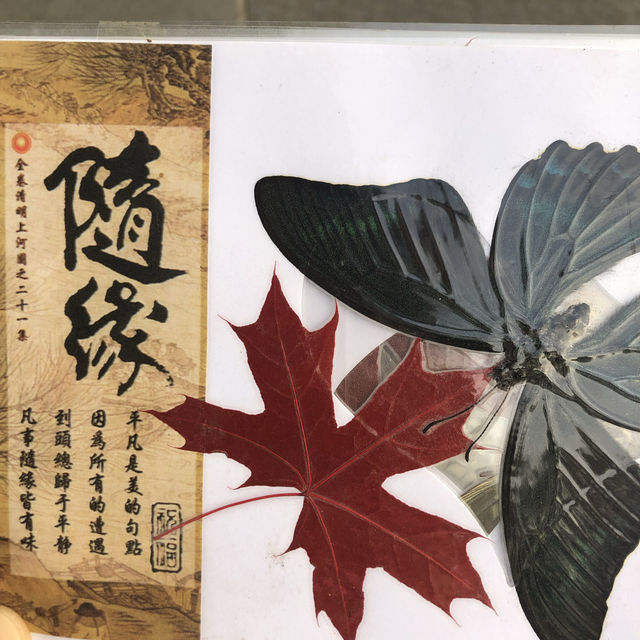 《紅楓與古剎：棲霞山的秋日私語》