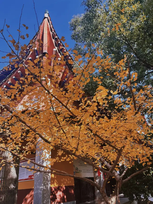 Kaifu Temple in Changsha | Receiving blessings and good fortune