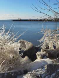 安大略湖畔多倫多， 這裡仍然大雪紛飛，天寒地凍