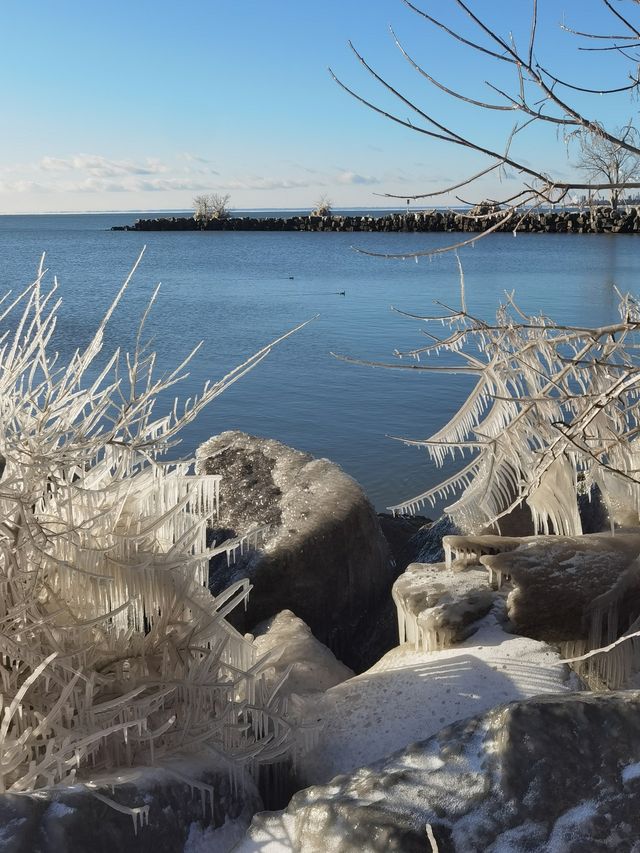 安大略湖畔多倫多， 這裡仍然大雪紛飛，天寒地凍