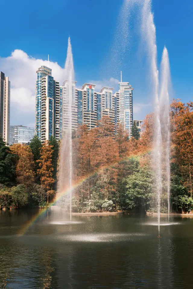 The hidden Bay Area Bookstore in Zhujiang Park