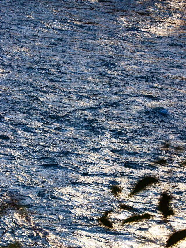 都江堰在晴朗的時候很美！