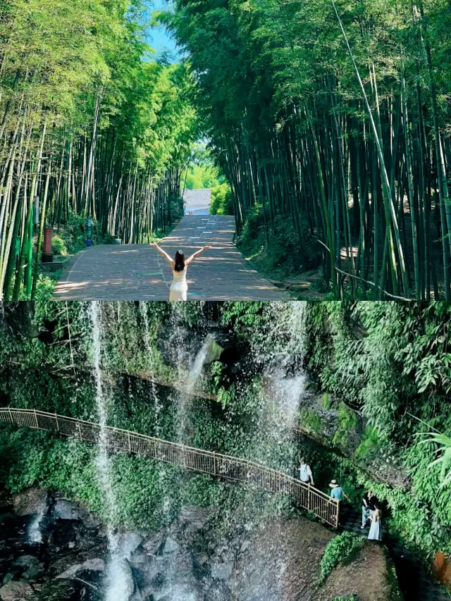 Shunan Bamboo Sea