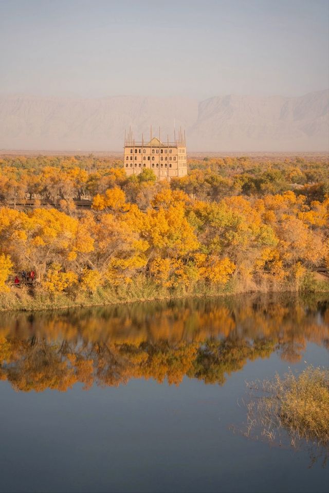 誰能拒絕新疆秋日裡那一片金色胡楊島