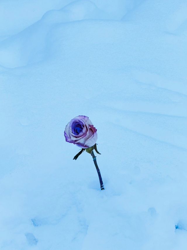 超贊體驗｜阿勒泰地區 · 新疆阿爾泰可可托海滑雪場