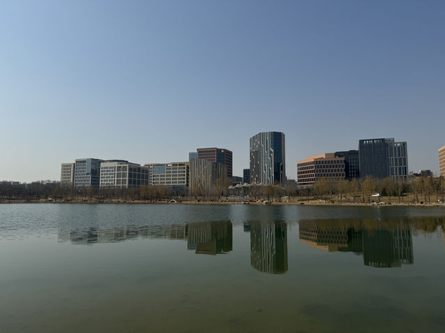 萬頃湖泊，七重精彩！來雄安金湖公園感受綠色春光！