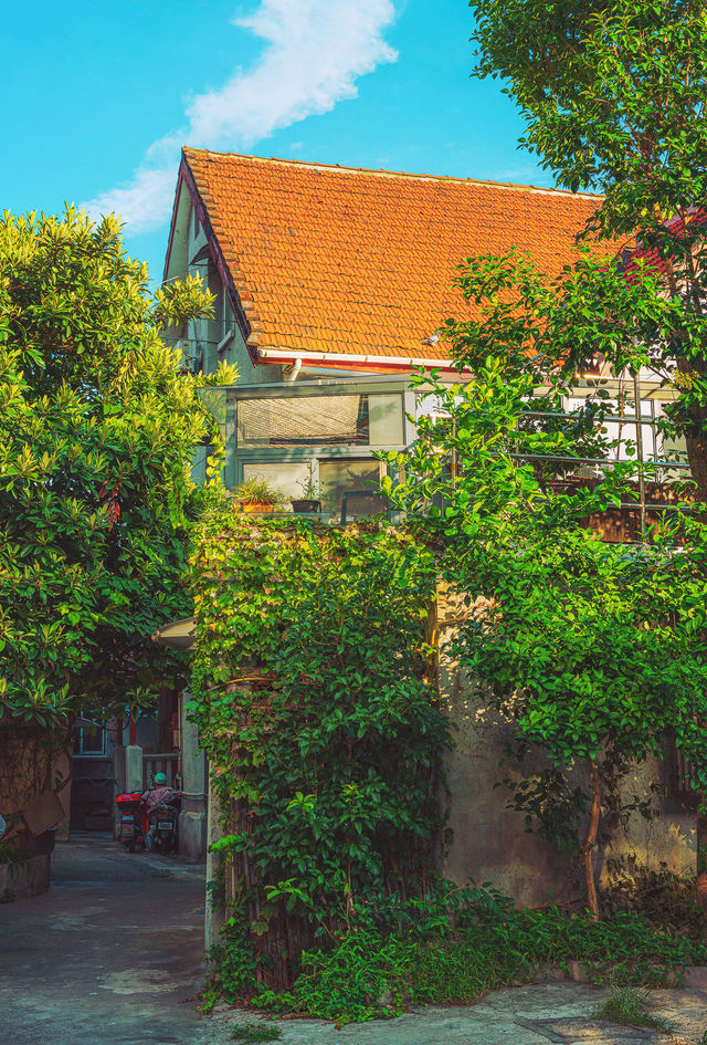 Shanghai's Most Endearing Street—Huangdu Road