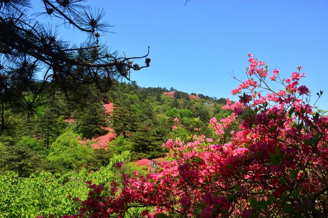 麻城龜峰山