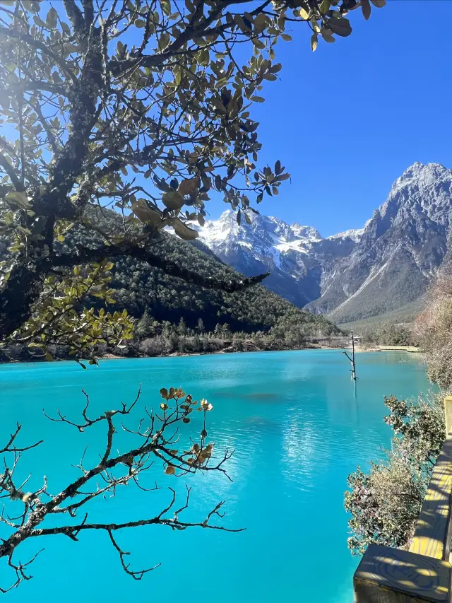 麗江旅遊，日照金山雲杉坪藍月谷攻略