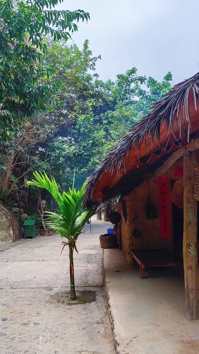 陽春三月旅遊踏青，登山賞花的好季節