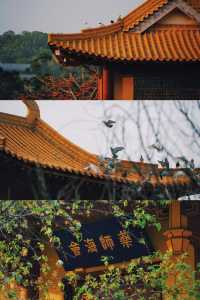 春和景明不僅是禪意遇見寧靜角落 廈門石室禪院