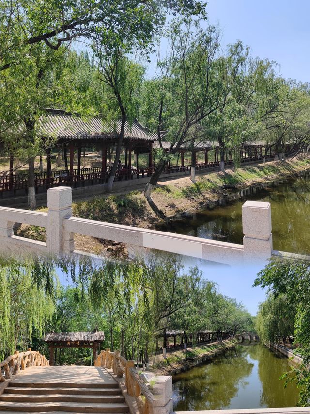 西沽公園丨荷花已全面盛開，可衝