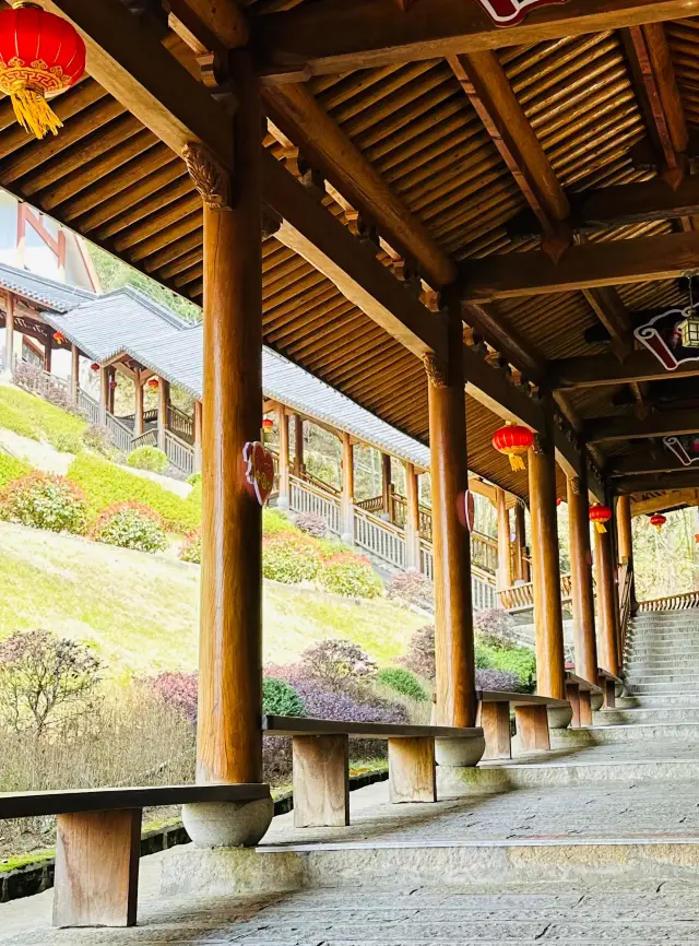 羊獅慕は雲を貫くロープウェイです