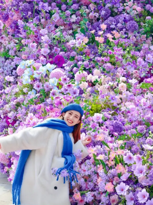 Spring Outing Notes | Check in at 18 Qingdao Flower Viewing Spots!