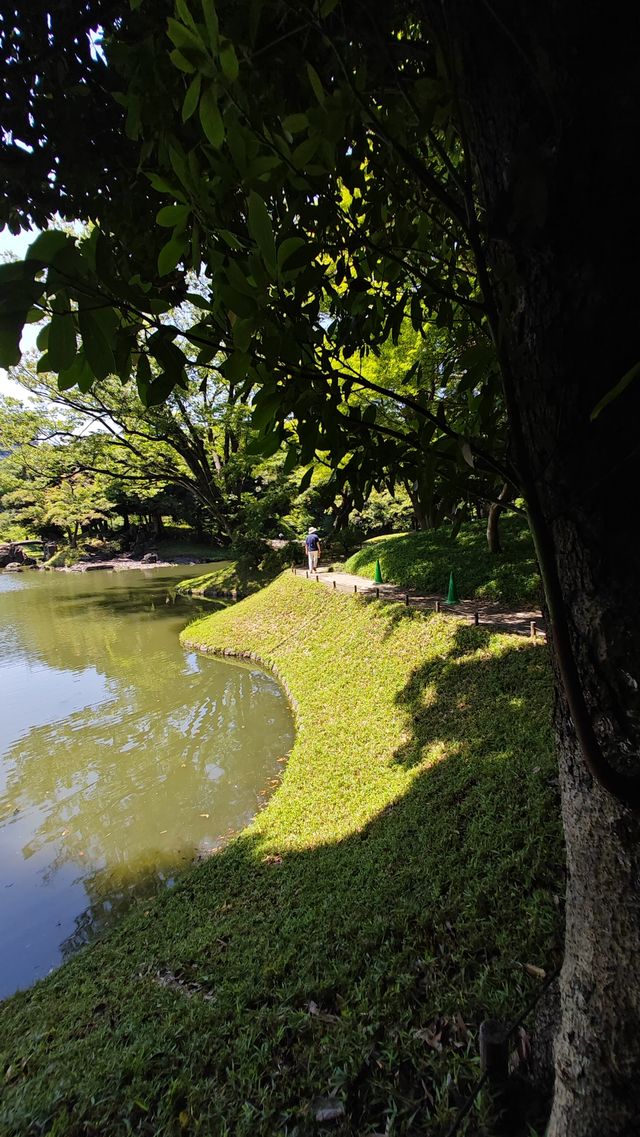 【夏日東京綠】小石川後樂園：深綠淺綠抹茶綠裡愜意一刻