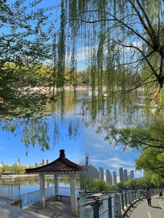 Not abroad! It's a treasure park in Chengdu that 99% of people overlook