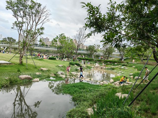 這個城央公園，遛娃撒野好去處