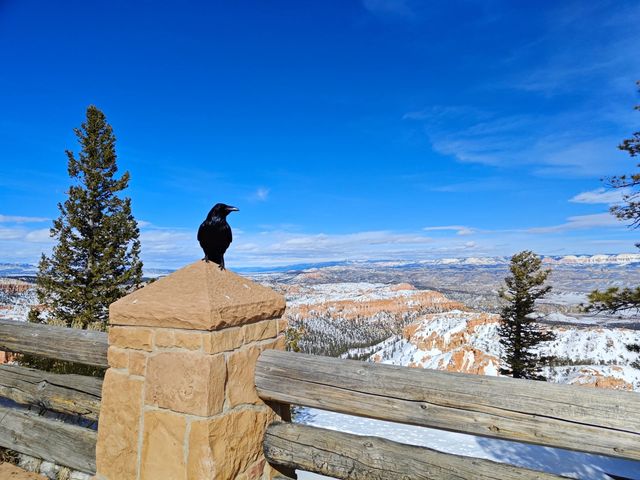 Bryce Amphitheater!!!不可思議的一行萬里路