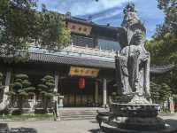 清淨自為·禪心問道
