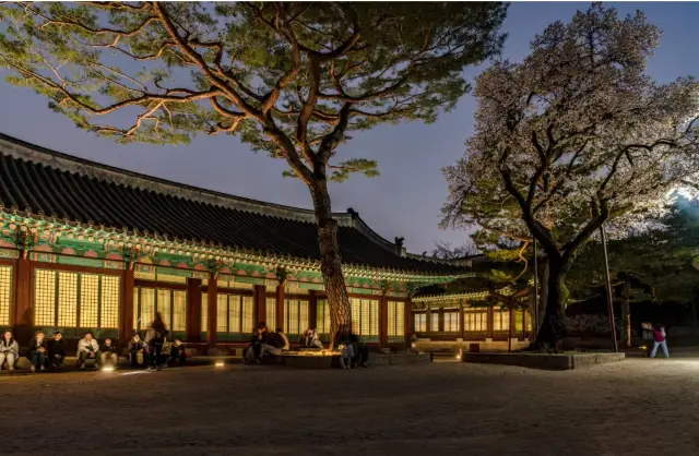 The 2023 Changgyeonggung Palace Night has begun
