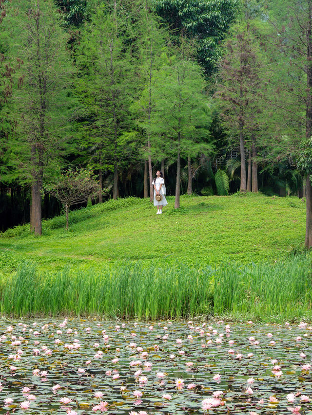 廣州天河這個抹茶綠公園拍照太好看了吧！