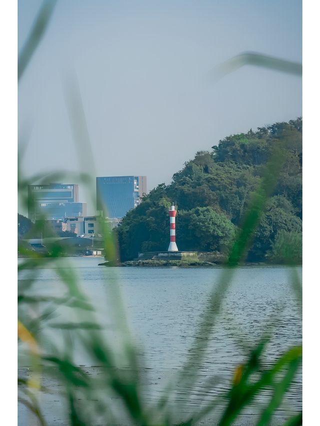 廣州春季露營·戶外野餐賞日落的免費公園推薦！