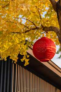 Strolling through history, experiencing the charm of Tang Dynasty architecture in Xi'an | Big Wild Goose Pagoda