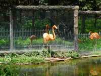 貴州第一動物王國——貴陽森林野生動物園