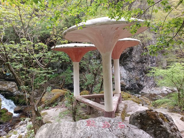翠微硒谷
