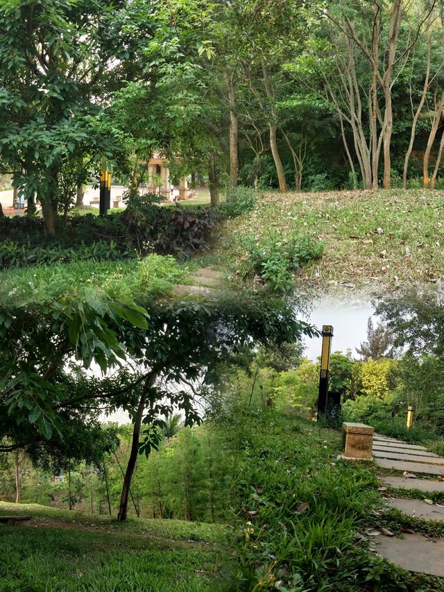 徐聞人民公園最全攻略 徐聞人民公園最全攻略