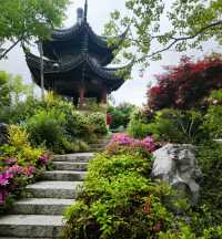 上海老姐姐的拍照聖地——申園