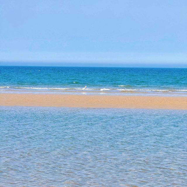 黃島紅樹林度假酒店 黃島紅樹林度假酒店