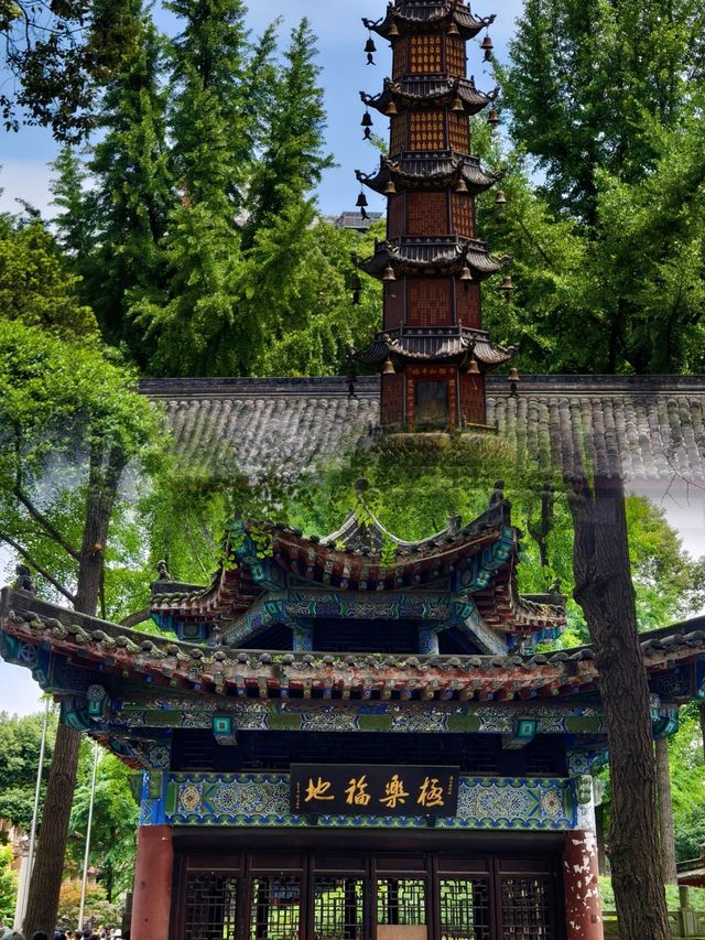 成都｜遊文殊院感受清幽的禪意美學