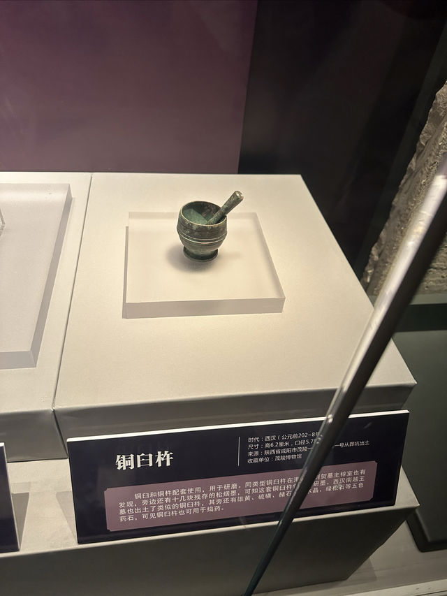 雄才大略的漢武帝-中山市博物館