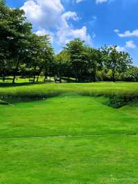 深圳！不要錢！城市中心公園天花板！！