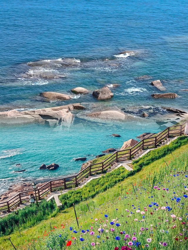 青島半日遊攻略燕兒島山公園與周邊美景一網打盡