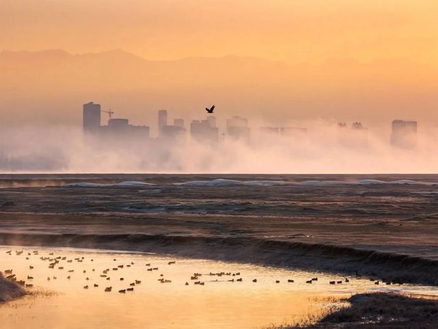 逐夢沙海，快艇奇旅：烏海沙漠的藍色狂想