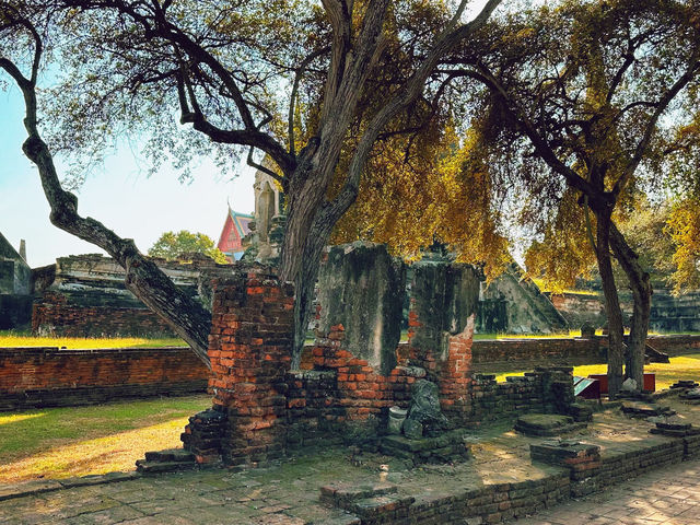 วัดพระศรีสรรเพชญ์ วัดสวยที่อยุธยา