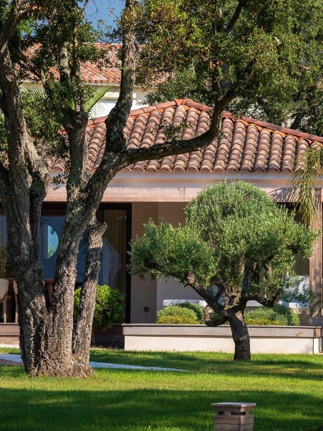 🌟 Porto-Vecchio's Finest Stays: Don Cesar Exposed! 🏨✨