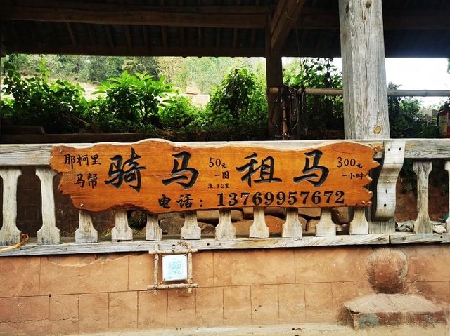 普洱那柯里 普洱那柯里