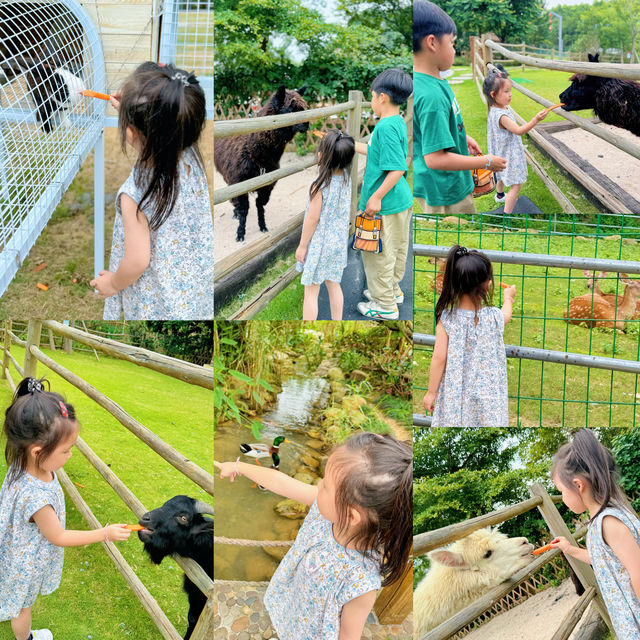 廣東周邊遊｜清遠大角禾場會N刷的親子度假村