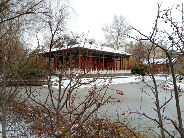 白雪映古建，岁晏尘事歇——雪舞天津老建筑