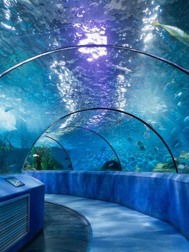 🌟 Nanjing's Top Family-Friendly Attractions! 🎠🐼🏛️